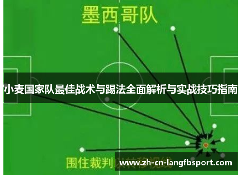 小麦国家队最佳战术与踢法全面解析与实战技巧指南