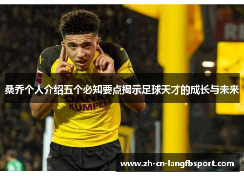 桑乔个人介绍五个必知要点揭示足球天才的成长与未来