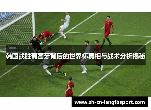 韩国战胜葡萄牙背后的世界杯真相与战术分析揭秘 韩国战胜葡萄牙背后的世界杯真相与战术分析揭秘