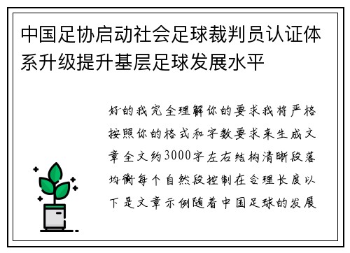 中国足协启动社会足球裁判员认证体系升级提升基层足球发展水平